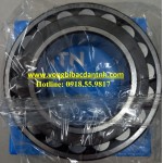 BẠC ĐẠN 22217EAKD1 NTN